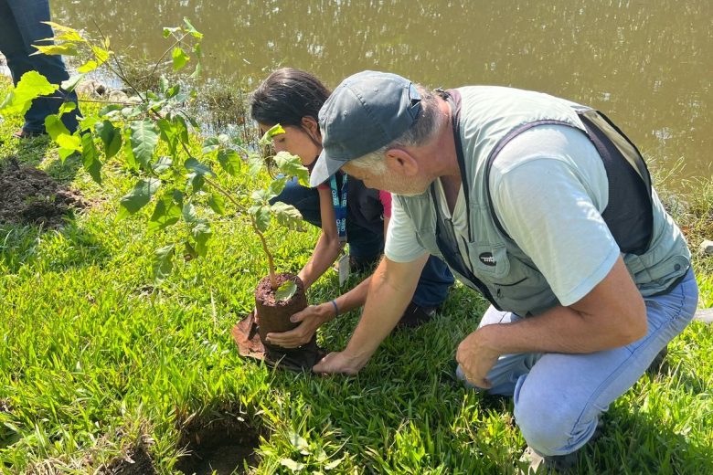 Mudas de ipês são plantadas na Lagoa Rodrigo de Freitas para fortalecer a biodiversidade local